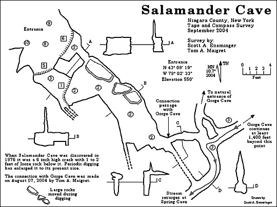 Salamander Cave Map