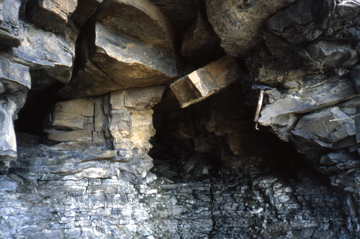 Salamander Cave Map