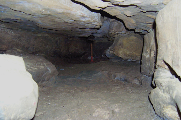 Salamander Cave Map
