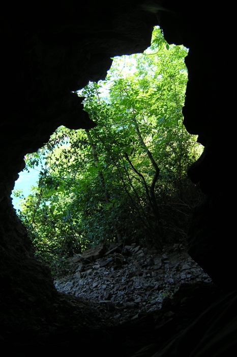 Salamander Cave