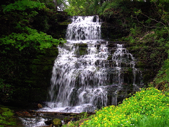 The Falls at Clarendon