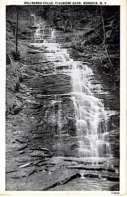Dalibarda Falls