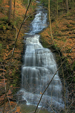 Dalibarda Falls