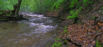 grimes glen creek