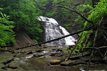 grimes glen creek