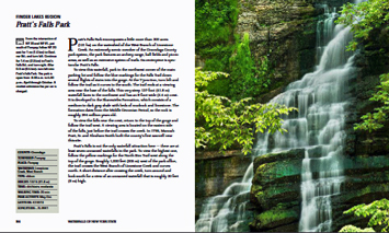 ny-waterfall-book-small