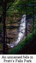 unnamed  Pratt's Falls